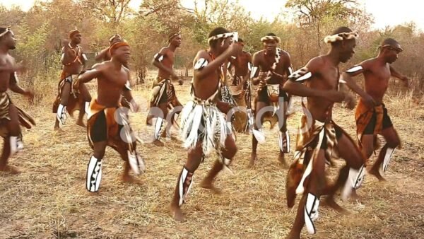 Exotic East Africa. An Unrivalled Adventure Through Kenya And Northwestern Rwanda By Private Jet. - Image 8