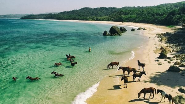 Private Island Experience. An Exclusive Escape in Paradise.