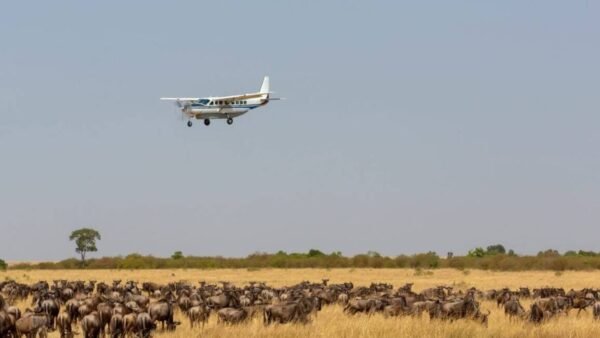 Exotic East Africa. An Unrivalled Adventure Through Kenya And Northwestern Rwanda By Private Jet. - Image 3