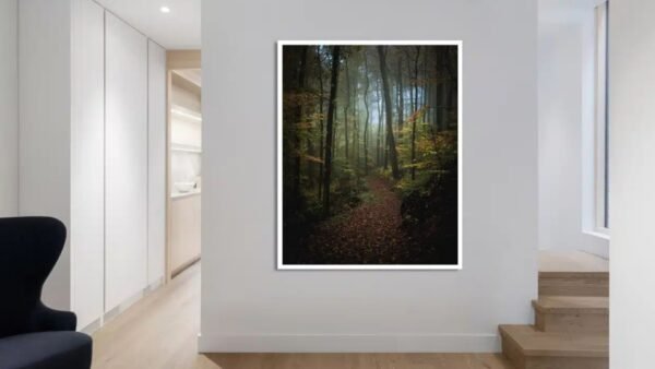 Into The Forest By Jan Lenhardt. Striking One-of-a-Kind Large Framed Artwork