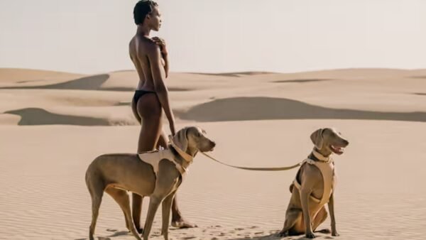 Pagerie Debut Collection Sahara. The Dórro Signature Leather Dog Collar. - Image 4